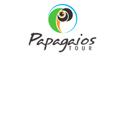 logo-papagaios-up